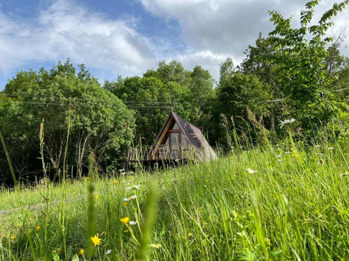 Glamping Wolf Mount Villa Margahovit Cameră foto