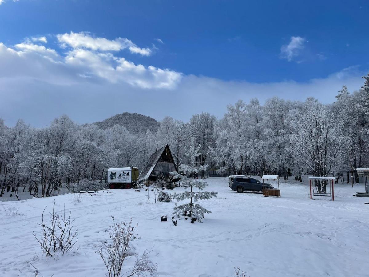 Glamping Wolf Mount Villa Margahovit Exterior foto