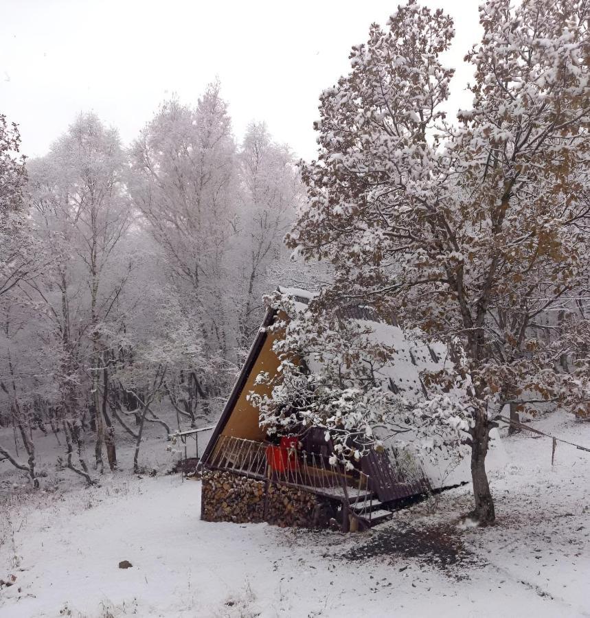 Glamping Wolf Mount Villa Margahovit Exterior foto